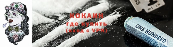 спайс Арсеньев