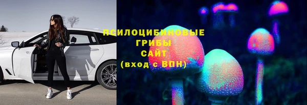 ешки Аркадак