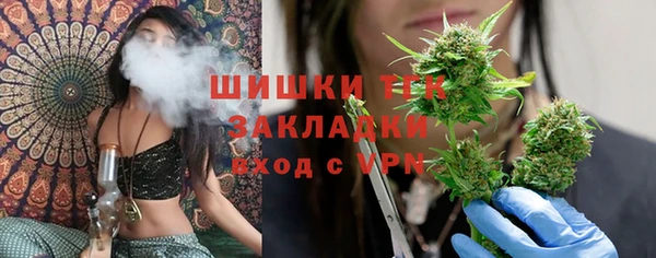 спайс Арсеньев