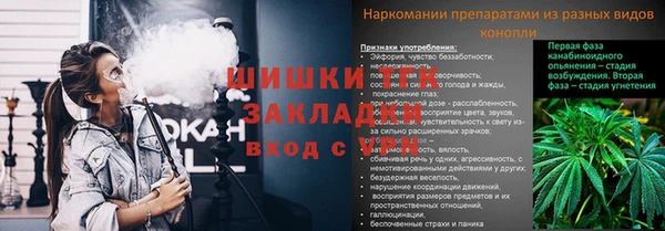 ешки Аркадак