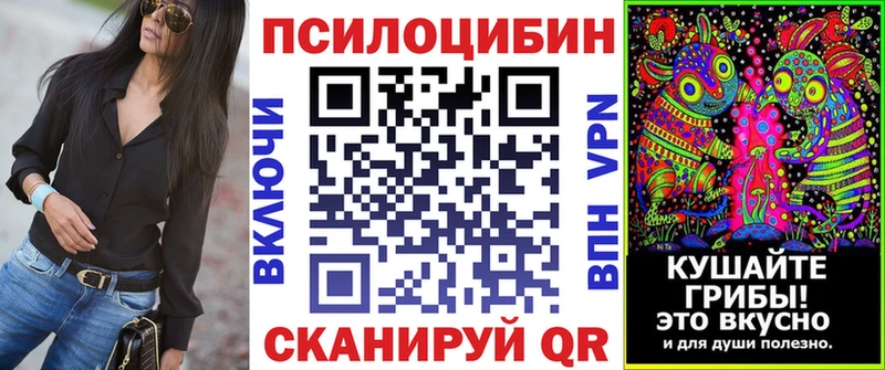 где купить   Опочка  Псилоцибиновые грибы MAGIC MUSHROOMS 