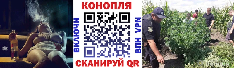 Конопля марихуана  Опочка 